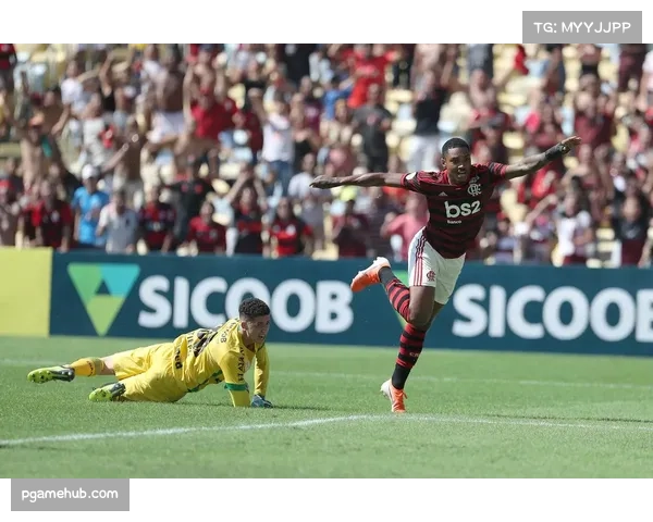 弗拉门戈主场大胜，继续领跑巴甲积分榜